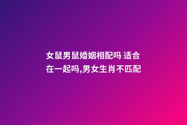 女鼠男鼠婚姻相配吗 适合在一起吗,男女生肖不匹配-第1张-观点-玄机派